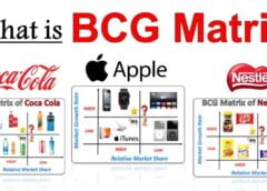What is BCG (Boston Consulting Group) Matrix ? How to Use the BCG matrix
