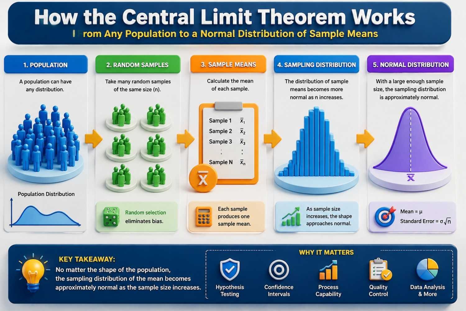 How the Central Limit Theorem works infographic showing population distribution, random samples, sample means, sampling distribution of the mean, and normal distribution formation as sample size increases.